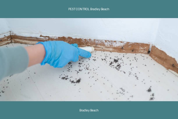 PEST CONTROL Bradley Beach